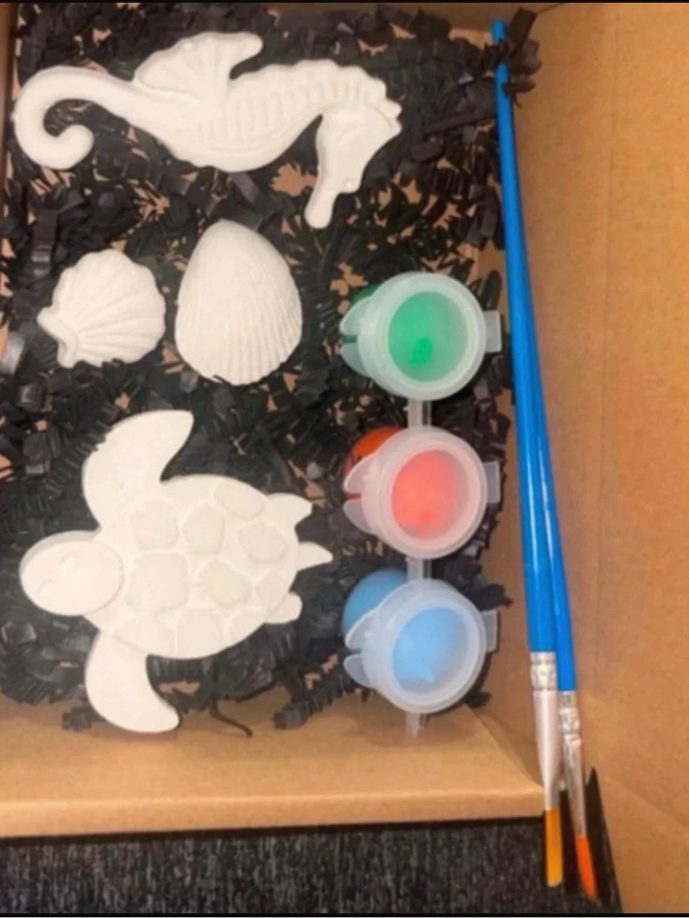 Sea Creature Paint-Your-Own Kit - White with Blue/Green/Red Paints